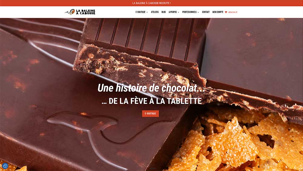 La Baleine à Cabosse — aperçu du site